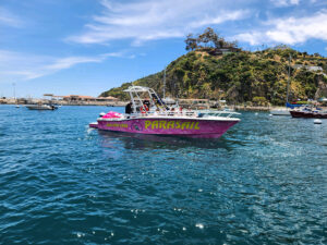 Pink-hulled Catalina Xtreme Parasail boat slowly moving in Avalon Harbor with PARASAIL and (626) 290-2888 painted on side