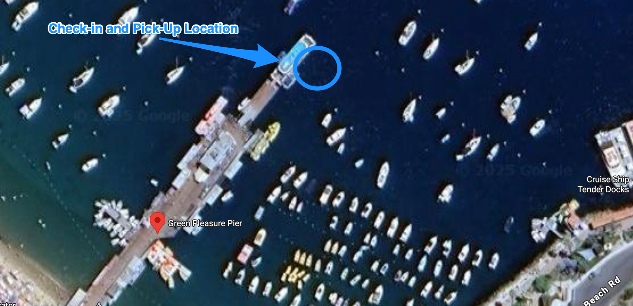 catalina parasail pickup check in